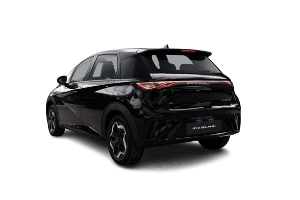 BYD Dolphin - 2